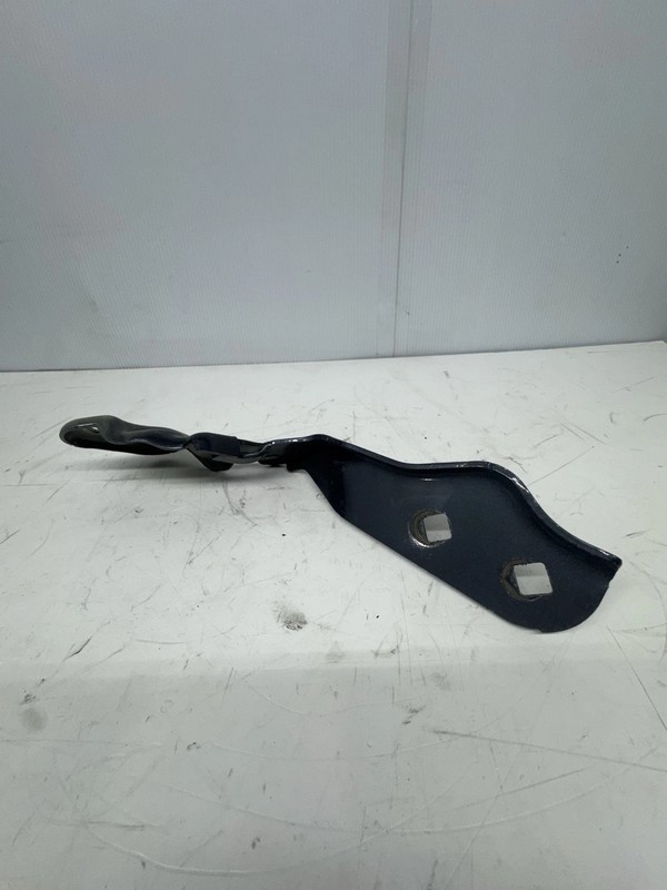 OEM TESLA MODEL 3 LEFT DRIVER FRONT HOOD HINGE LH BLUE 2017-2023 $39.99